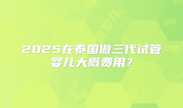 2025在泰国做三代试管婴儿大概费用?