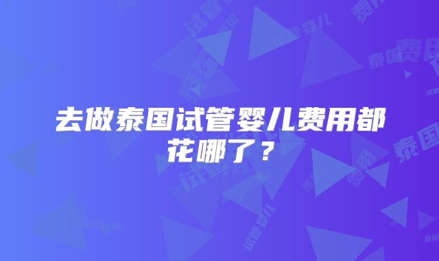 去做泰国试管婴儿费用都花哪了？