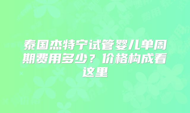 泰国杰特宁试管婴儿单周期费用多少？价格构成看这里