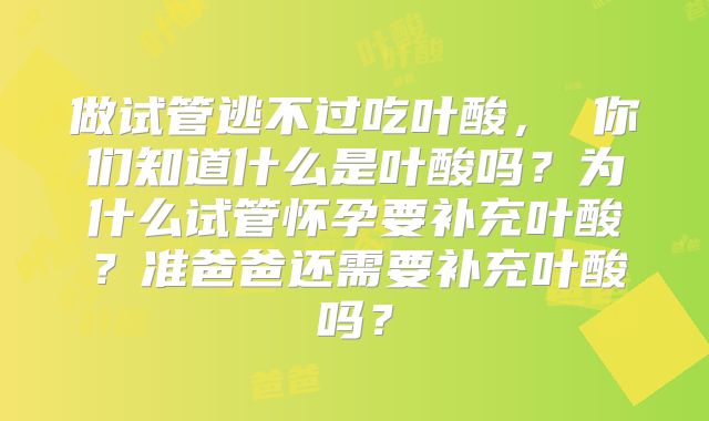 做试管逃不过吃叶酸， 你们知道什么是叶酸吗？为什么试管怀孕要补充叶酸？准爸爸还需要补充叶酸吗？