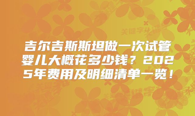 吉尔吉斯斯坦做一次试管婴儿大概花多少钱？2025年费用及明细清单一览！