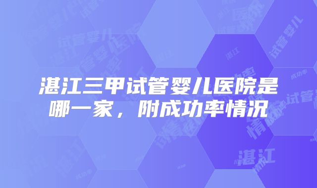 湛江三甲试管婴儿医院是哪一家，附成功率情况