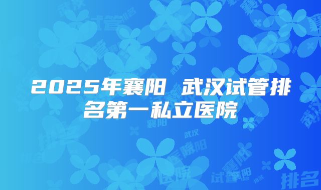 2025年襄阳 武汉试管排名第一私立医院