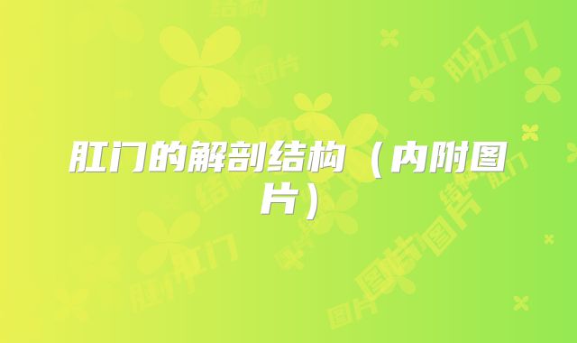 肛门的解剖结构(内附图片)
