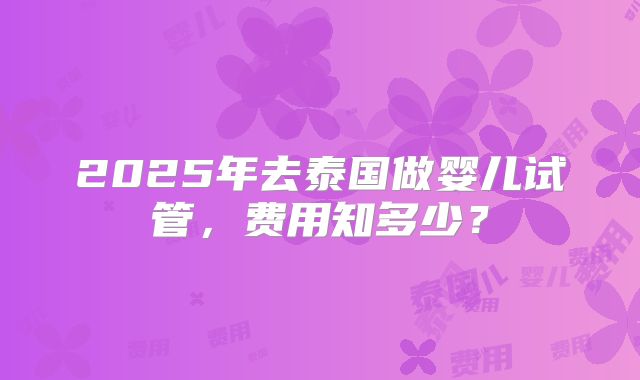 2025年去泰国做婴儿试管，费用知多少？