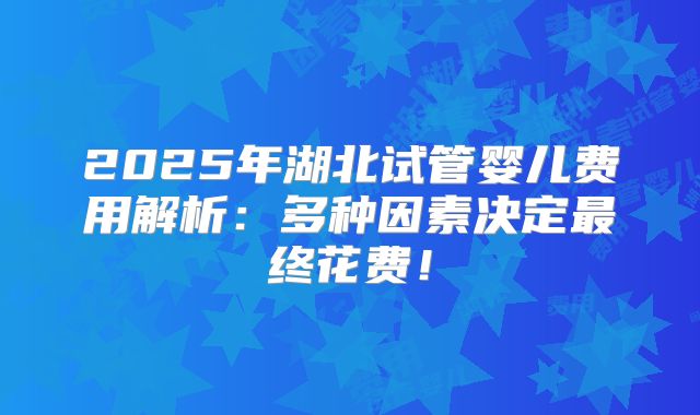 2025年湖北试管婴儿费用解析：多种因素决定最终花费！