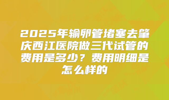 2025年输卵管堵塞去肇庆西江医院做三代试管的费用是多少？费用明细是怎么样的
