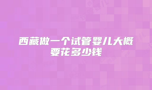 西藏做一个试管婴儿大概要花多少钱