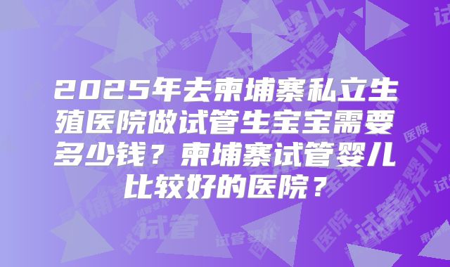 2025年去柬埔寨私立生殖医院做试管生宝宝需要多少钱？柬埔寨试管婴儿比较好的医院？