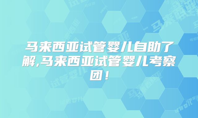 马来西亚试管婴儿自助了解,马来西亚试管婴儿考察团！