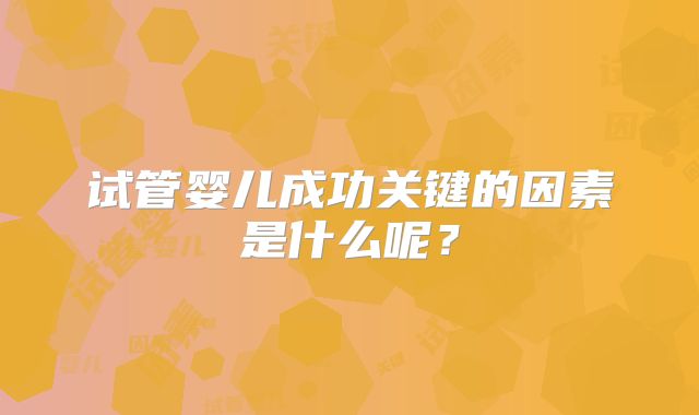 试管婴儿成功关键的因素是什么呢?