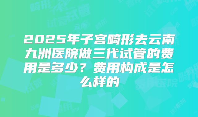 2025年子宫畸形去云南九洲医院做三代试管的费用是多少？费用构成是怎么样的