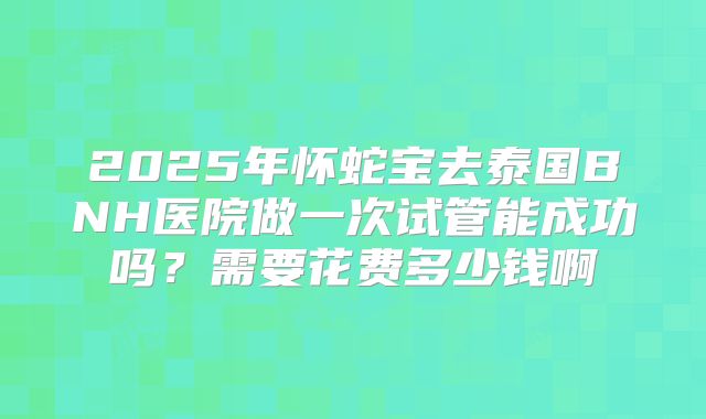 2025年怀蛇宝去泰国BNH医院做一次试管能成功吗？需要花费多少钱啊
