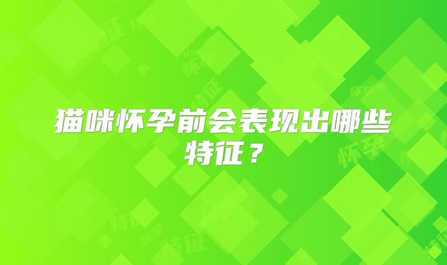 猫咪怀孕前会表现出哪些特征？