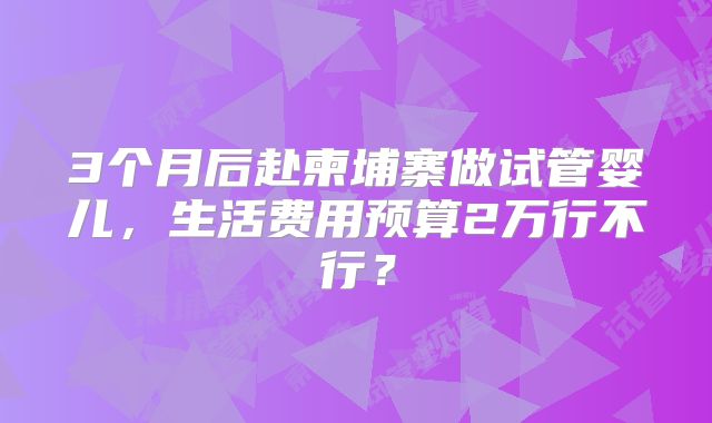 3个月后赴柬埔寨做试管婴儿，生活费用预算2万行不行？