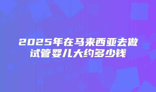 2025年在马来西亚去做试管婴儿大约多少钱