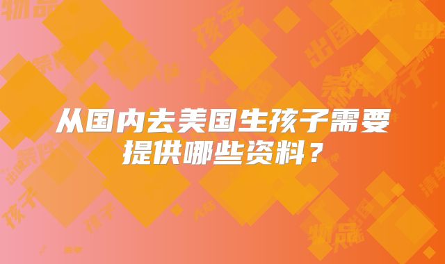 从国内去美国生孩子需要提供哪些资料？