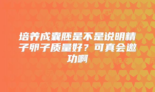 培养成囊胚是不是说明精子卵子质量好？可真会邀功啊