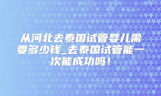 从河北去泰国试管婴儿需要多少钱_去泰国试管能一次能成功吗！