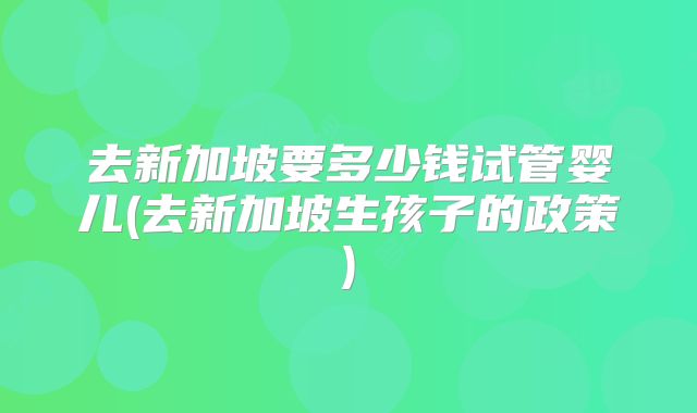 去新加坡要多少钱试管婴儿(去新加坡生孩子的政策)