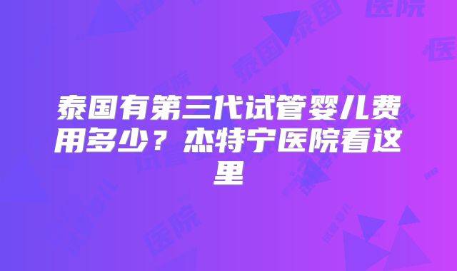 泰国有第三代试管婴儿费用多少？杰特宁医院看这里