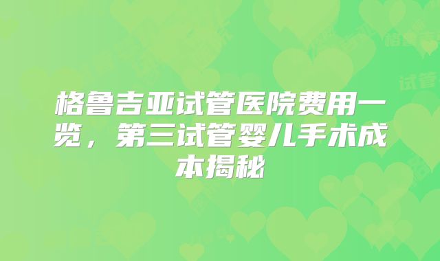 格鲁吉亚试管医院费用一览，第三试管婴儿手术成本揭秘
