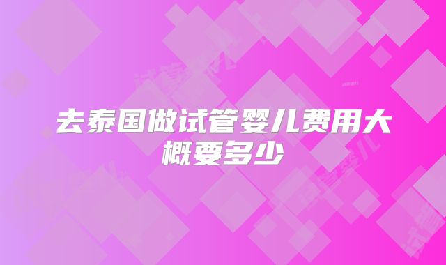 去泰国做试管婴儿费用大概要多少