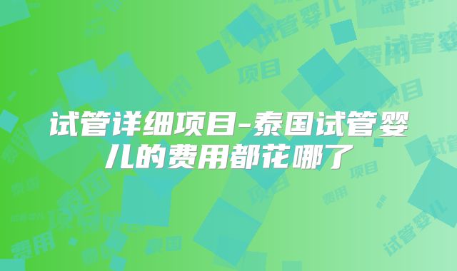 试管详细项目-泰国试管婴儿的费用都花哪了