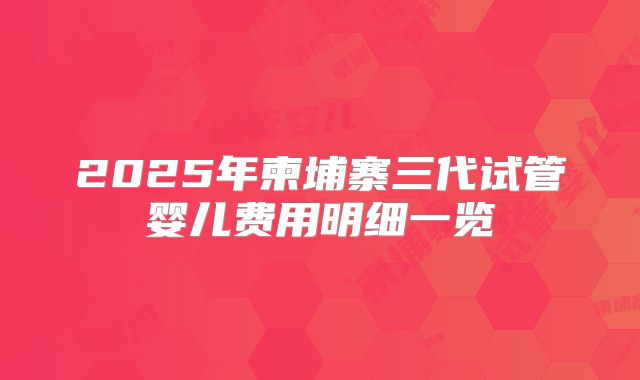 2025年柬埔寨三代试管婴儿费用明细一览