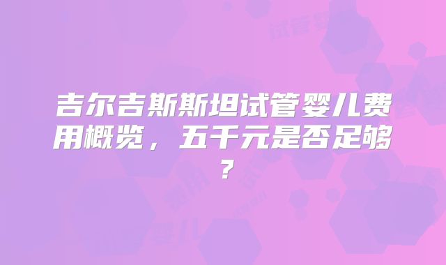 吉尔吉斯斯坦试管婴儿费用概览，五千元是否足够？