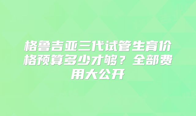 格鲁吉亚三代试管生育价格预算多少才够?全部费用大公开