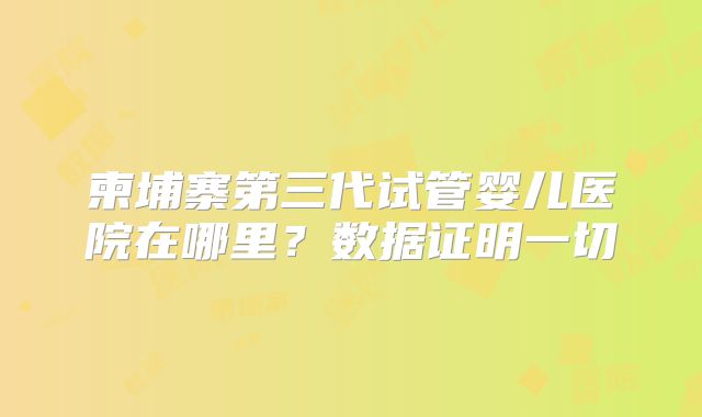 柬埔寨第三代试管婴儿医院在哪里？数据证明一切