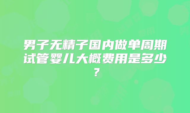 男子无精子国内做单周期试管婴儿大概费用是多少?