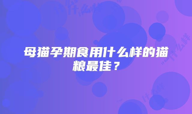 母猫孕期食用什么样的猫粮最佳?