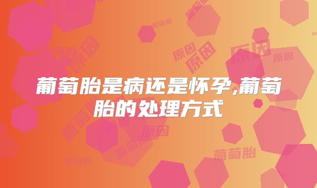 葡萄胎是病还是怀孕,葡萄胎的处理方式