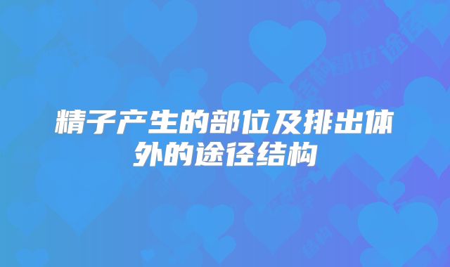 精子产生的部位及排出体外的途径结构