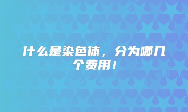 什么是染色体,分为哪几个费用!