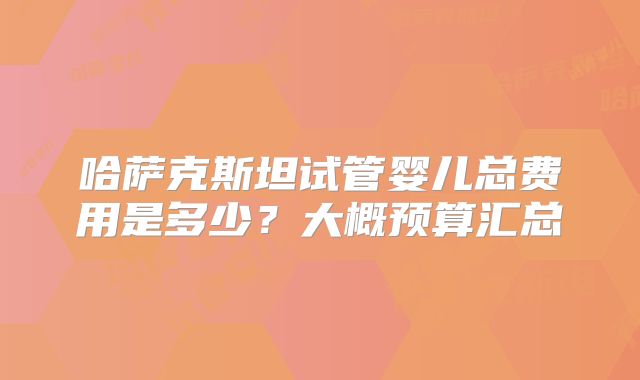 哈萨克斯坦试管婴儿总费用是多少?大概预算汇总