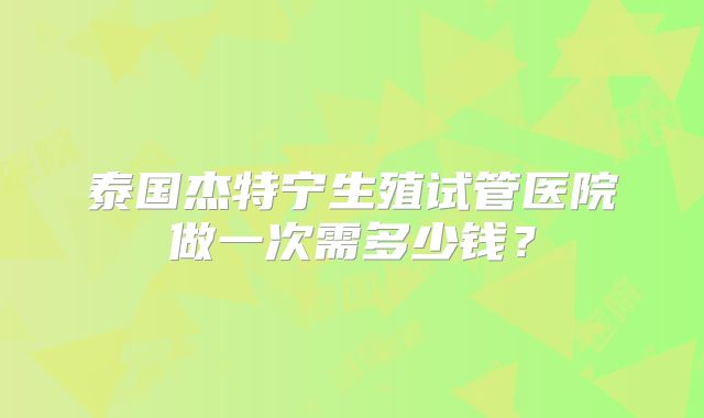 泰国杰特宁生殖试管医院做一次需多少钱？