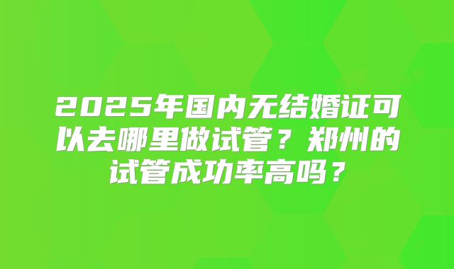 2025年国内无结婚证可以去哪里做试管?郑州的试管成功率高吗?