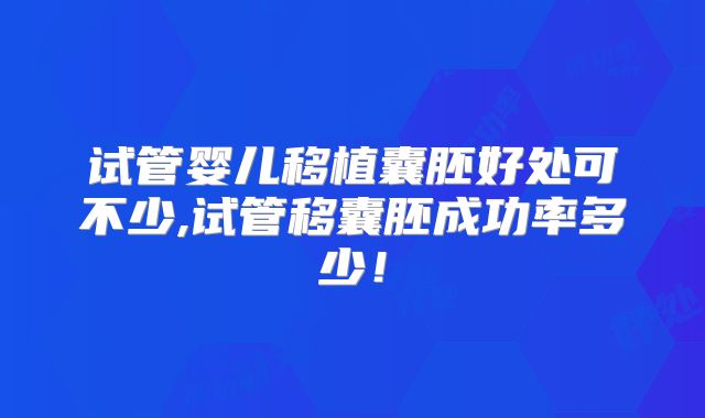 试管婴儿移植囊胚好处可不少,试管移囊胚成功率多少!
