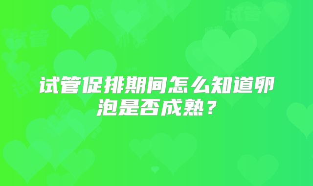 试管促排期间怎么知道卵泡是否成熟？