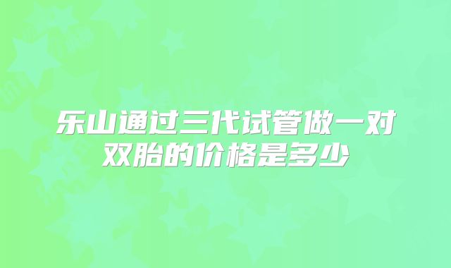 乐山通过三代试管做一对双胎的价格是多少
