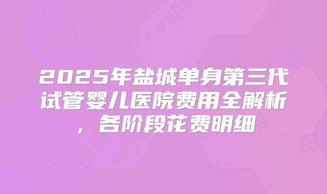 2025年盐城单身第三代试管婴儿医院费用全解析，各阶段花费明细