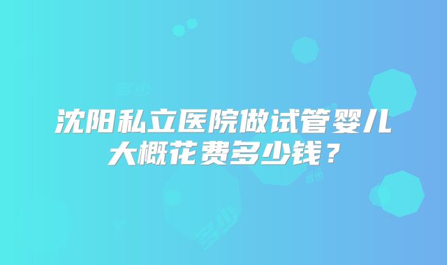 沈阳私立医院做试管婴儿大概花费多少钱？