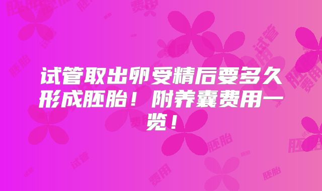 试管取出卵受精后要多久形成胚胎！附养囊费用一览！
