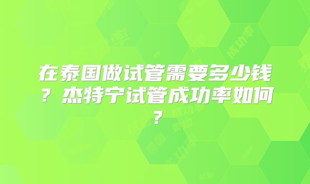 在泰国做试管需要多少钱?杰特宁试管成功率如何?