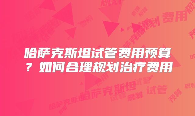 哈萨克斯坦试管费用预算？如何合理规划治疗费用