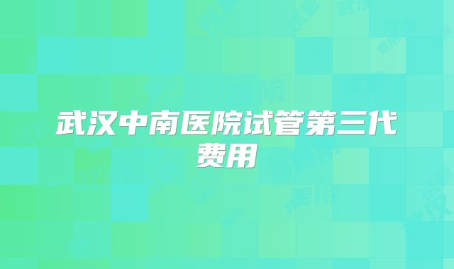 武汉中南医院试管第三代费用