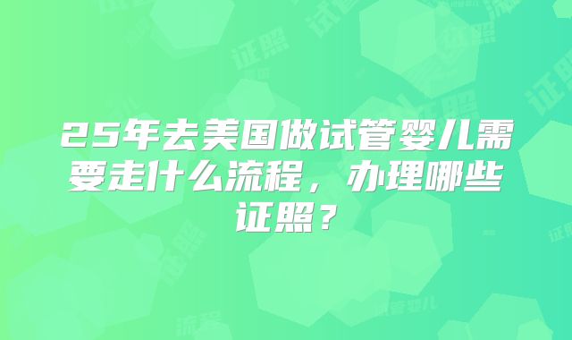25年去美国做试管婴儿需要走什么流程，办理哪些证照？